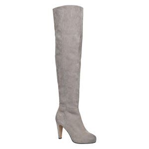 Aldo Bannari Grey Suede OTK boots